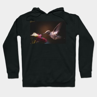 Hummingbird at red flower Hoodie